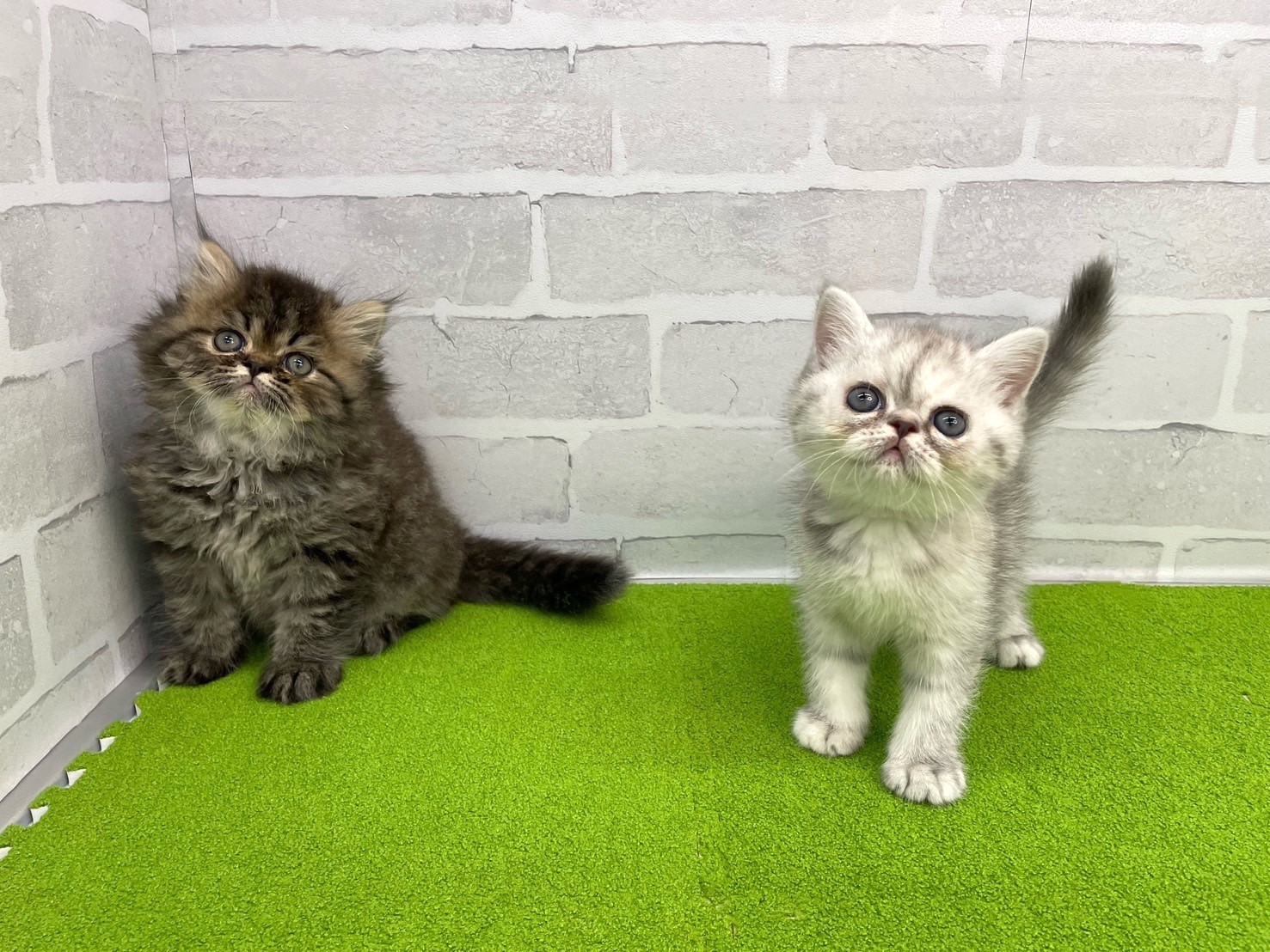 赤ちゃん写真3-3