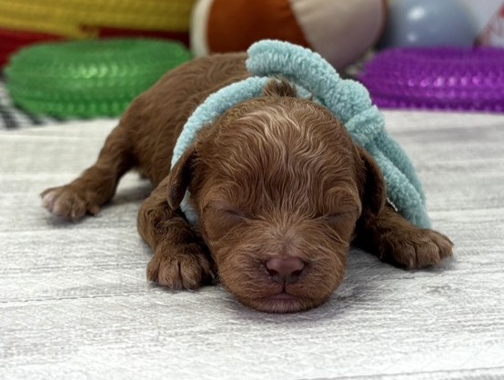 赤ちゃん写真1-1