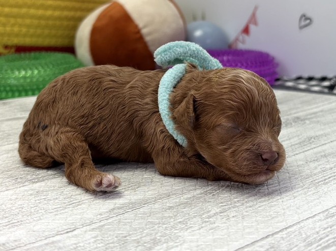 赤ちゃん写真1-2