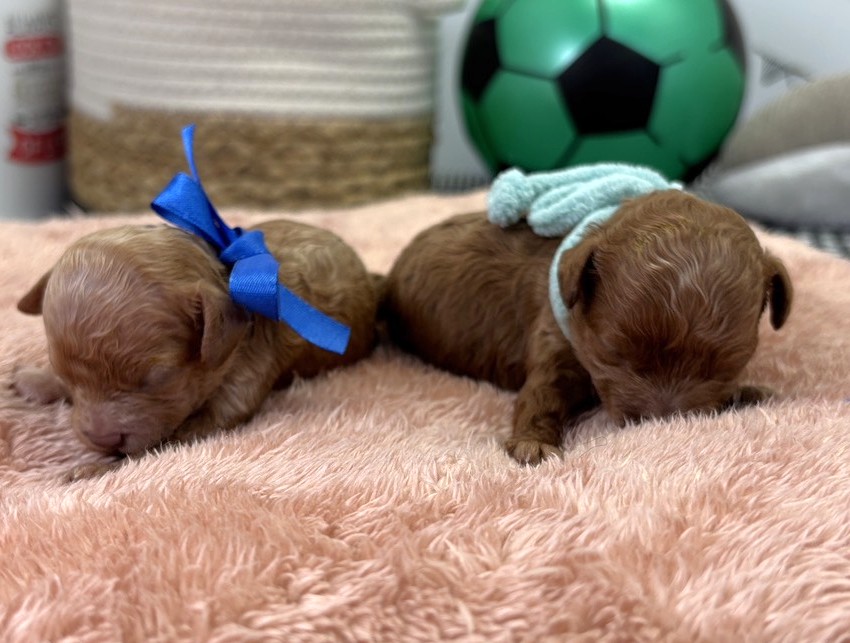 赤ちゃん写真1-3