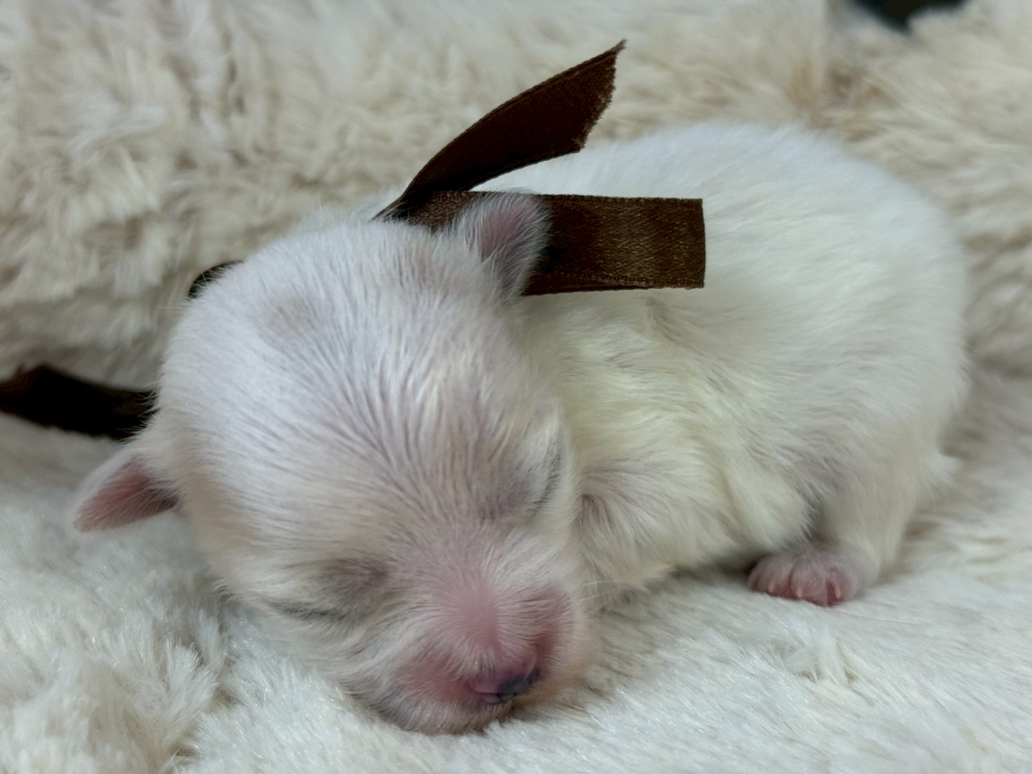 赤ちゃん写真1-1