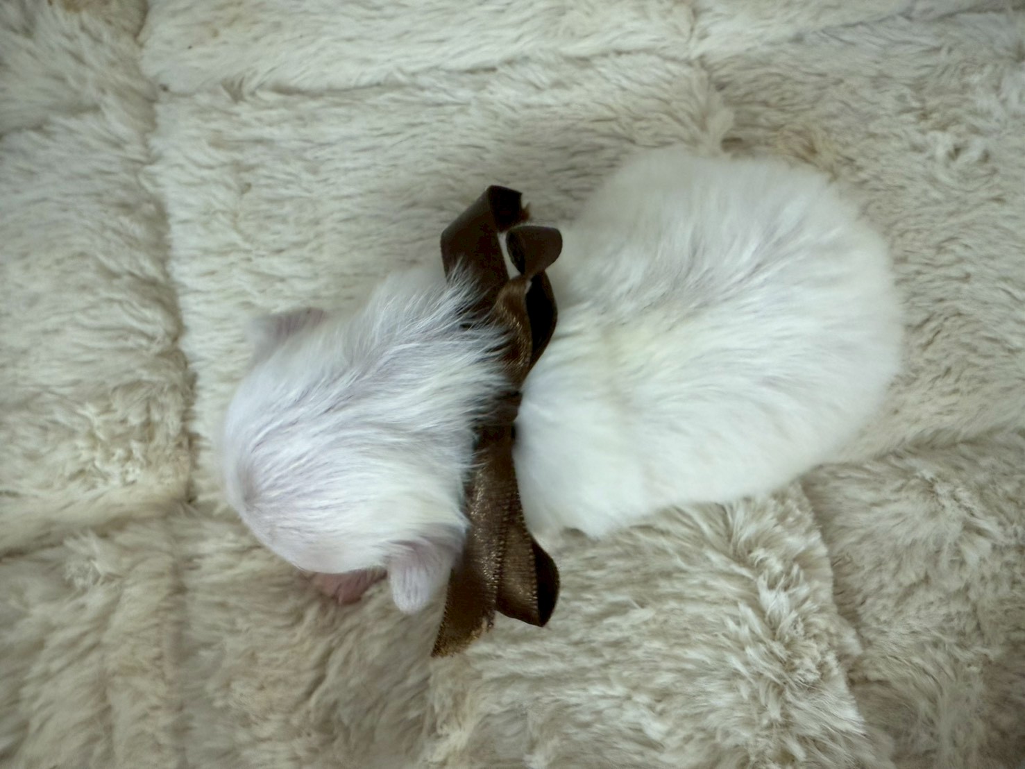 赤ちゃん写真1-3