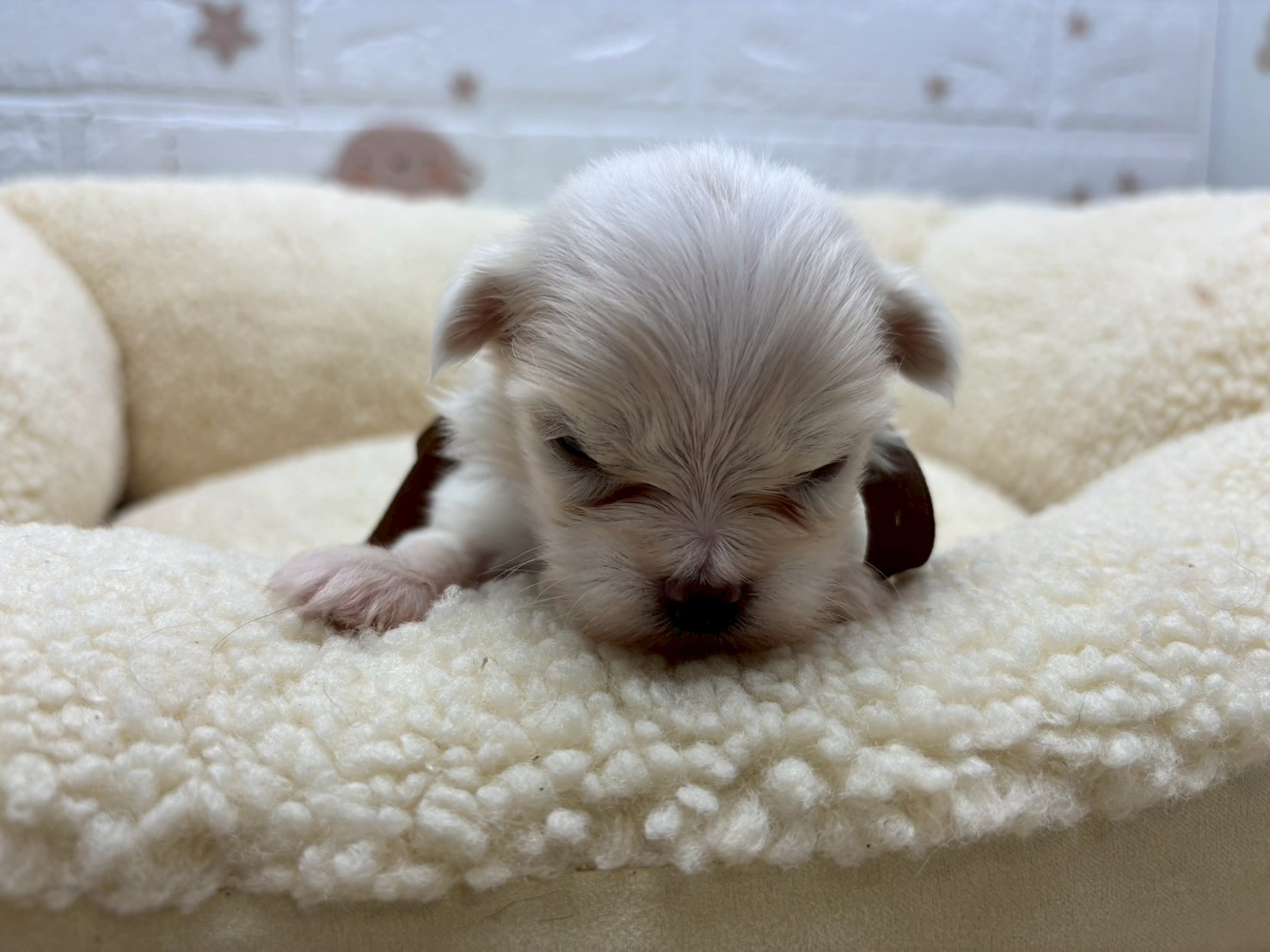 赤ちゃん写真2-1