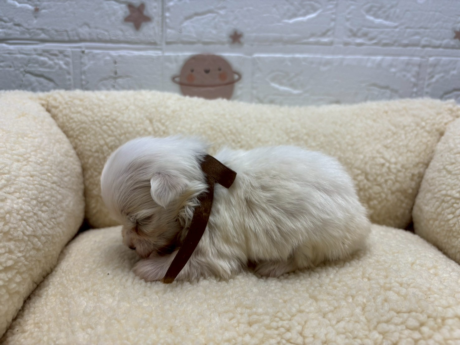 赤ちゃん写真2-2