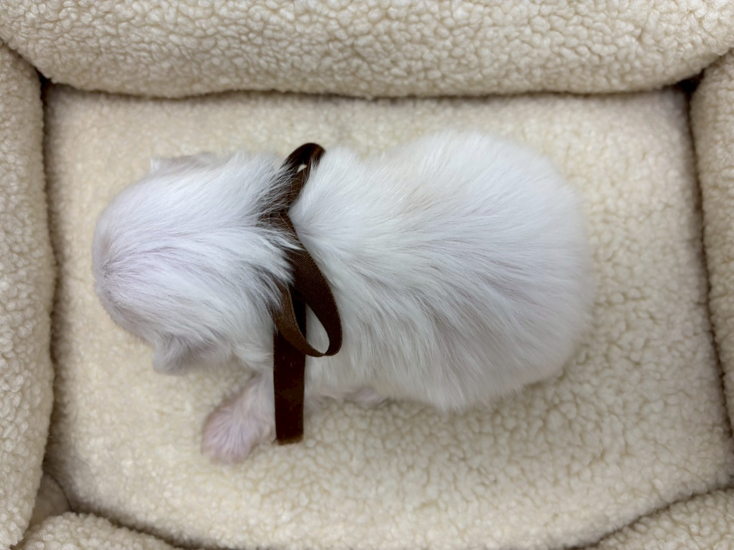 赤ちゃん写真2-3