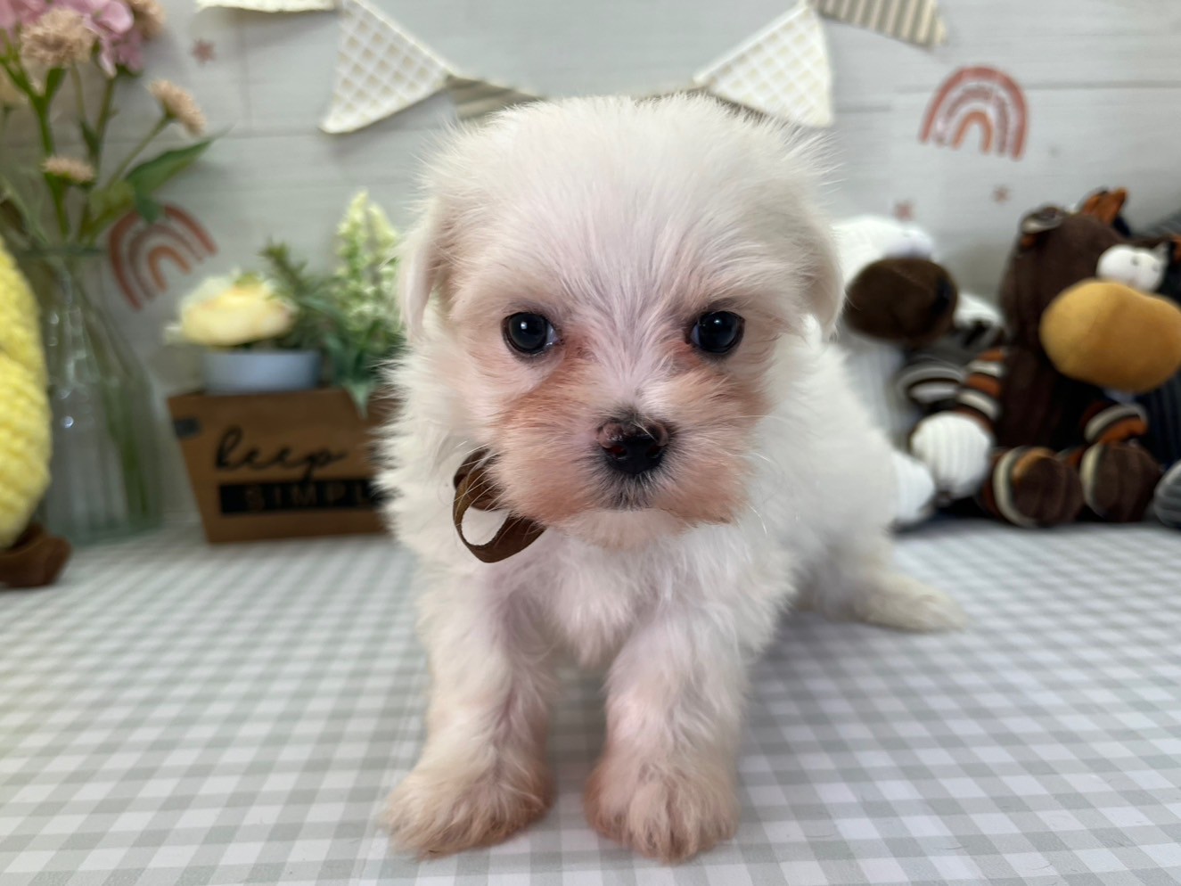 赤ちゃん写真3-1