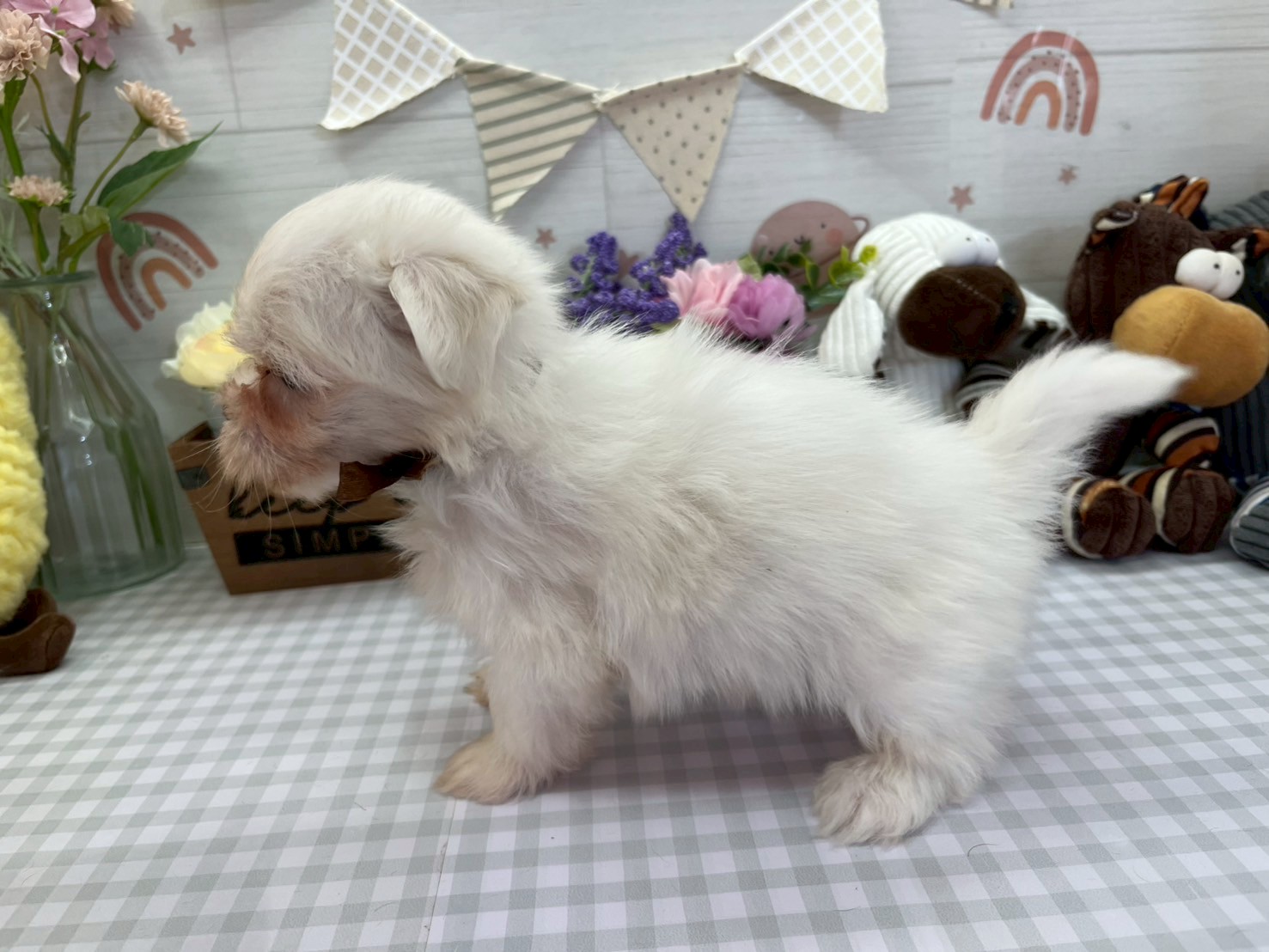 赤ちゃん写真3-2