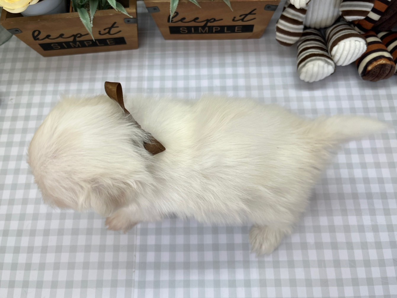 赤ちゃん写真3-3