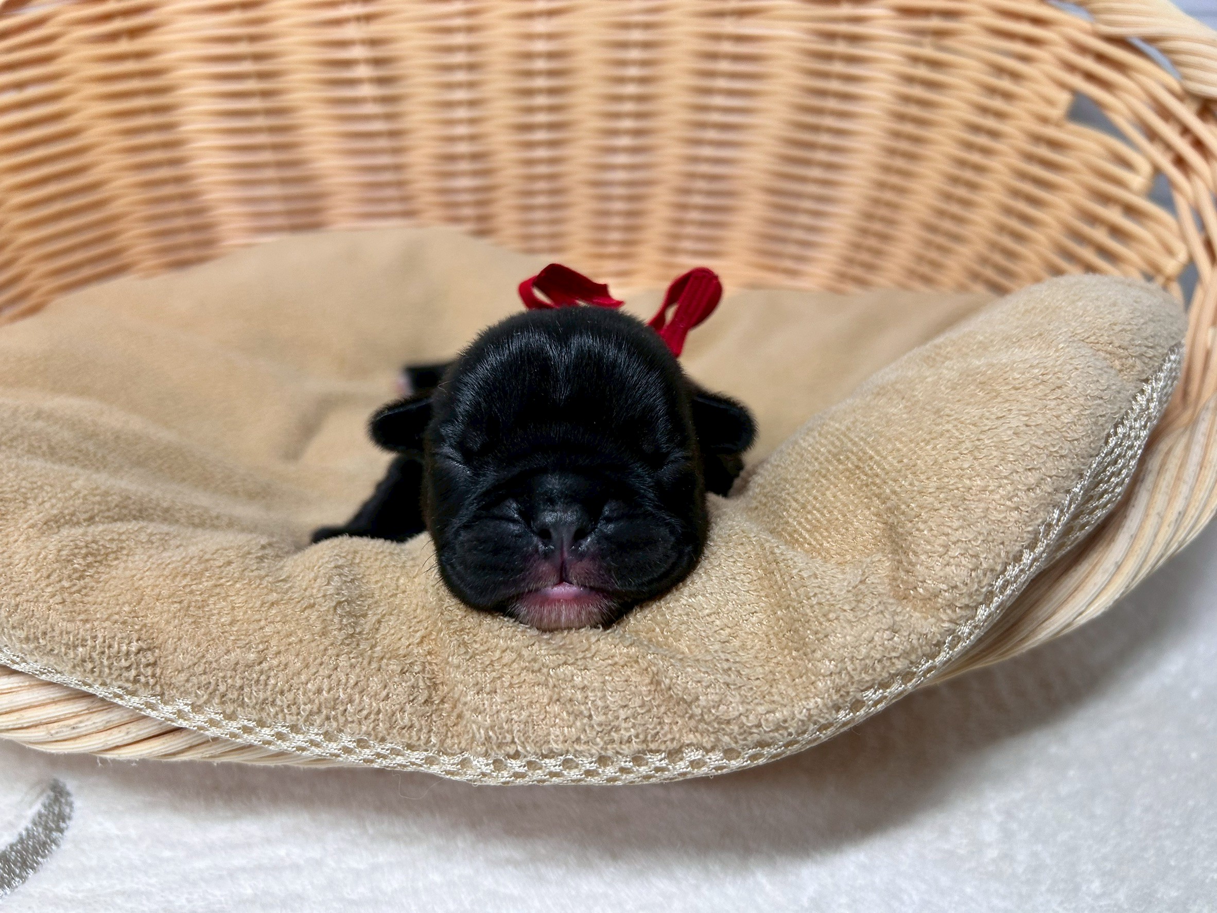 赤ちゃん写真1-1