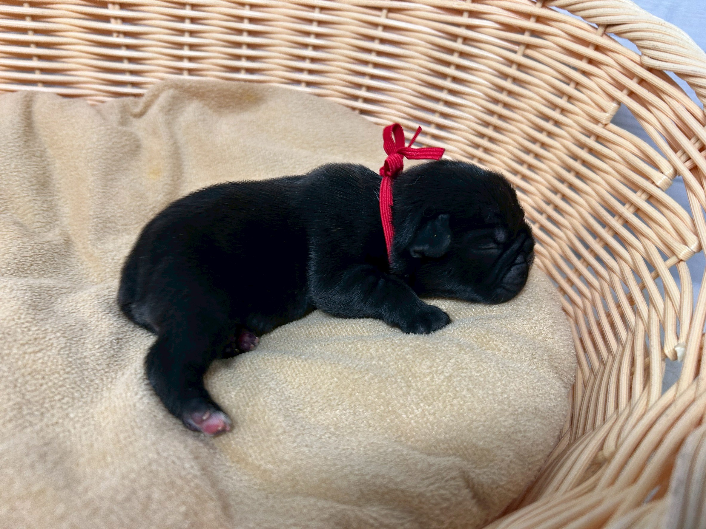 赤ちゃん写真1-2