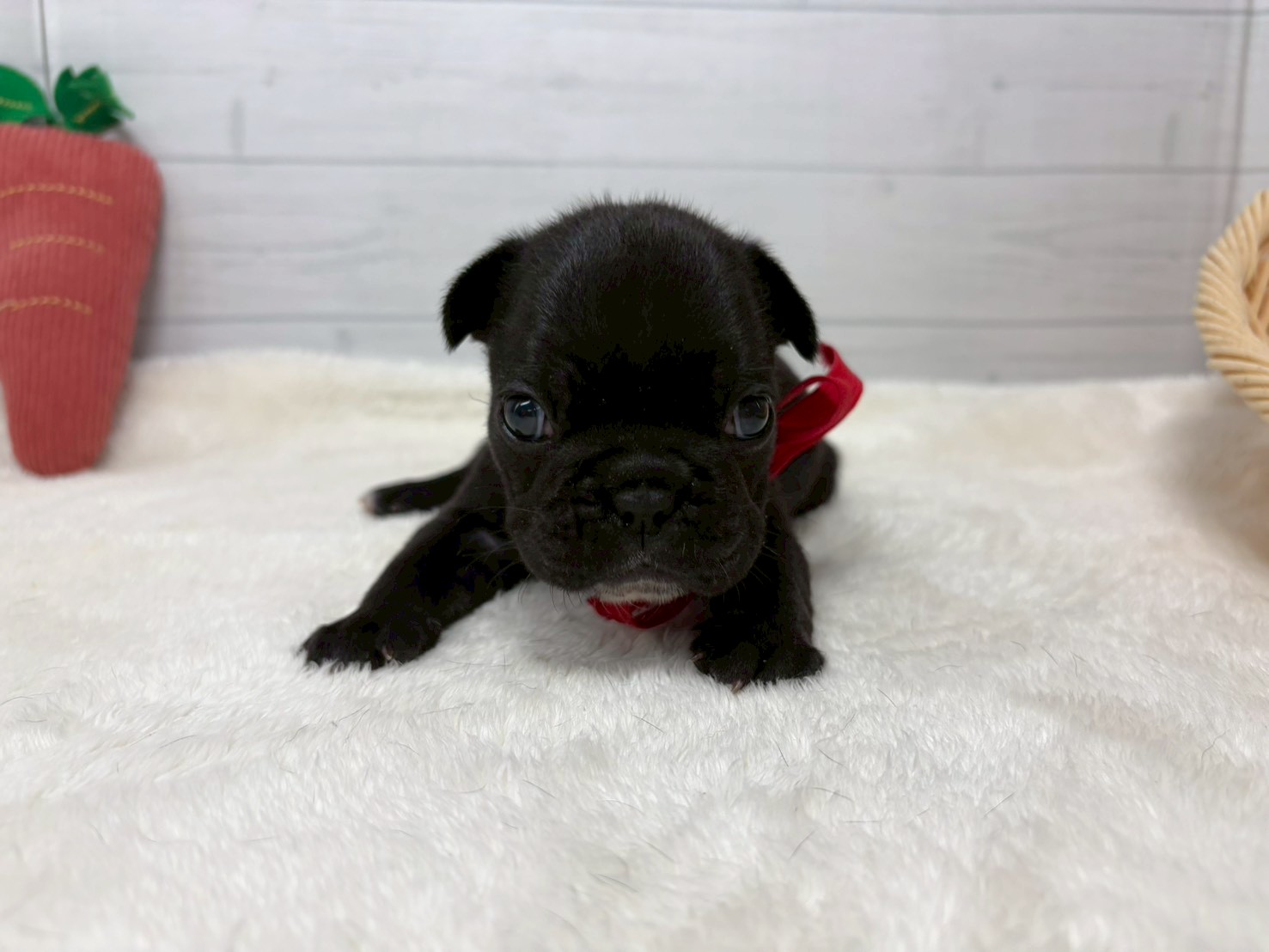 赤ちゃん写真2-1