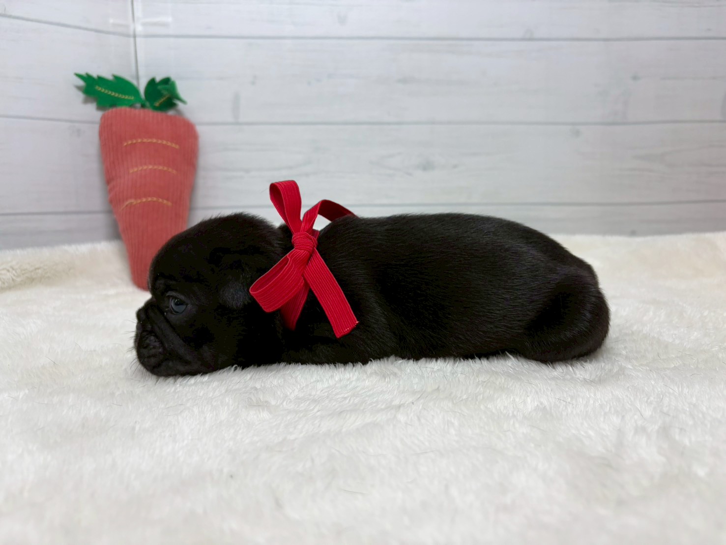 赤ちゃん写真2-2