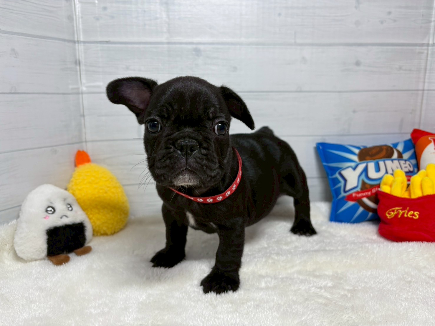 赤ちゃん写真3-1