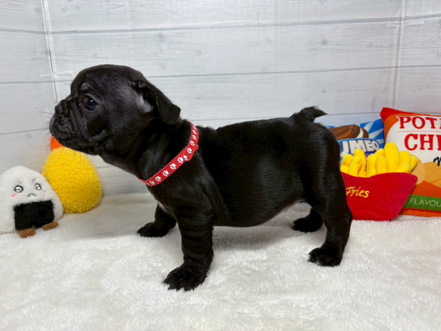 赤ちゃん写真3-2