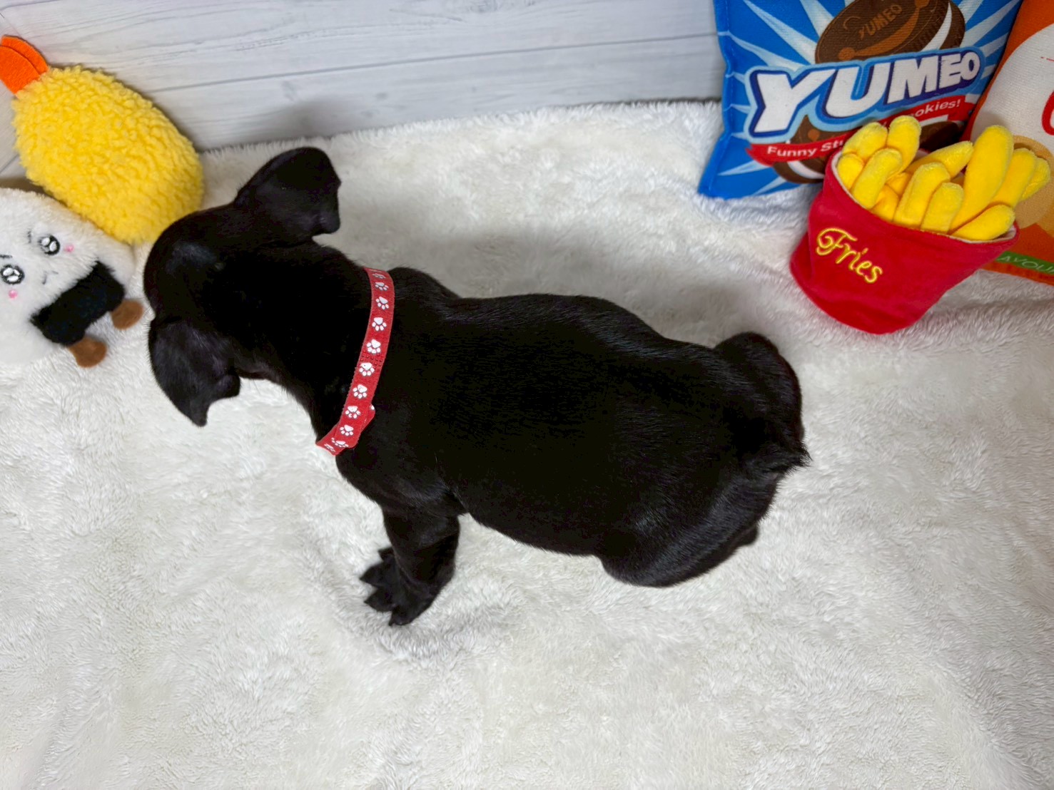 赤ちゃん写真3-3