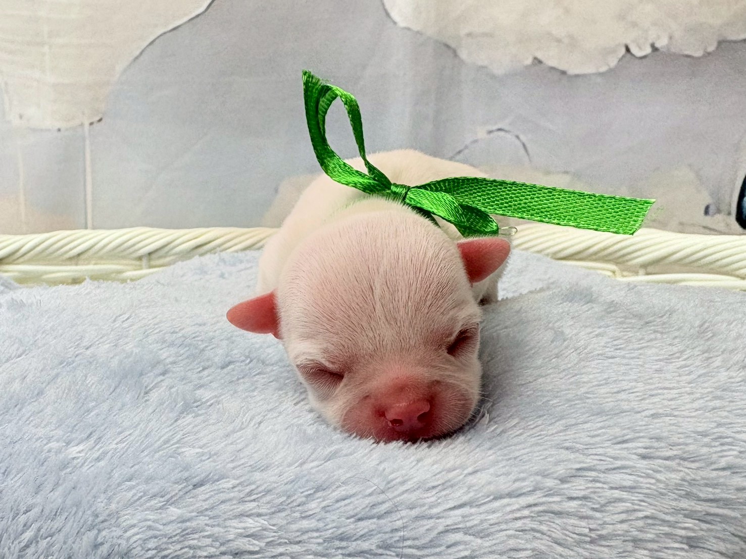 赤ちゃん写真1-1