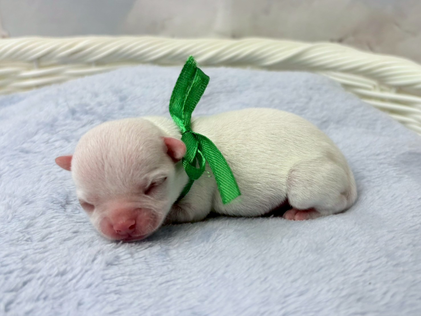 赤ちゃん写真1-2