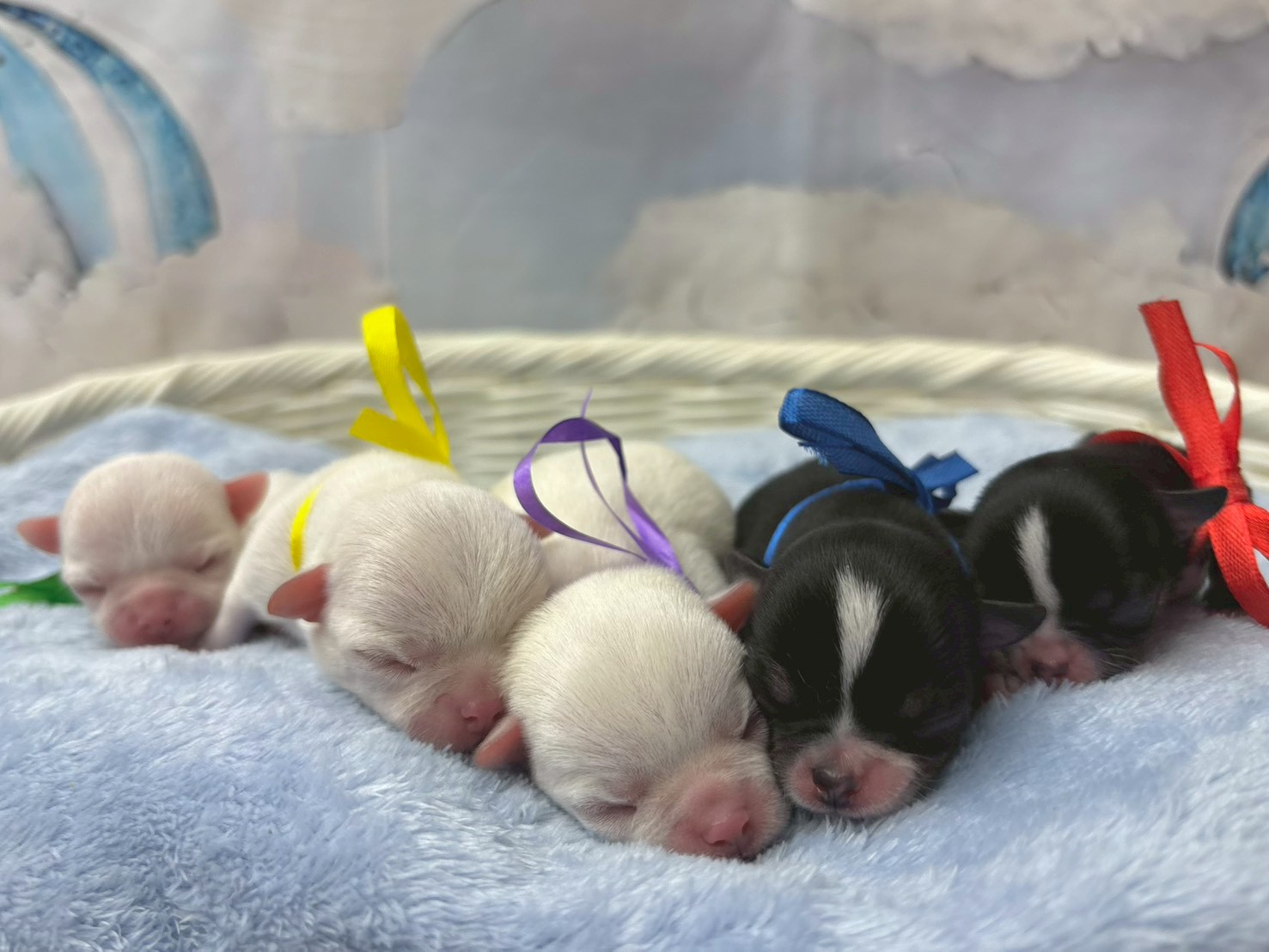 赤ちゃん写真1-3