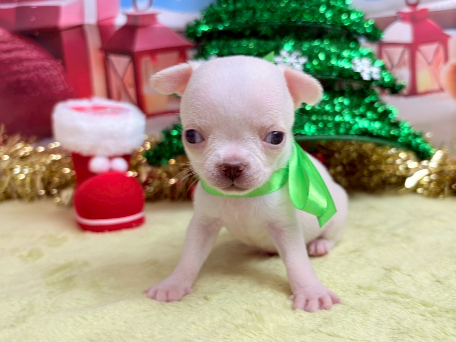 赤ちゃん写真2-1