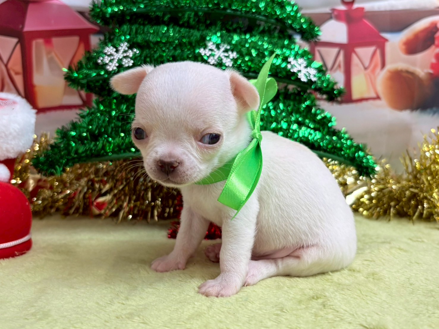 赤ちゃん写真2-2