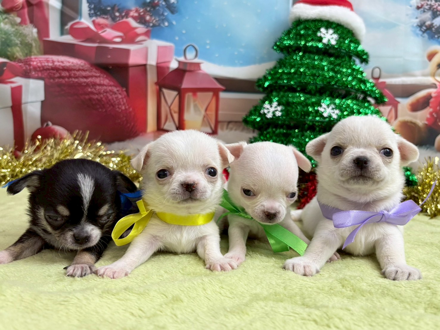 赤ちゃん写真2-3