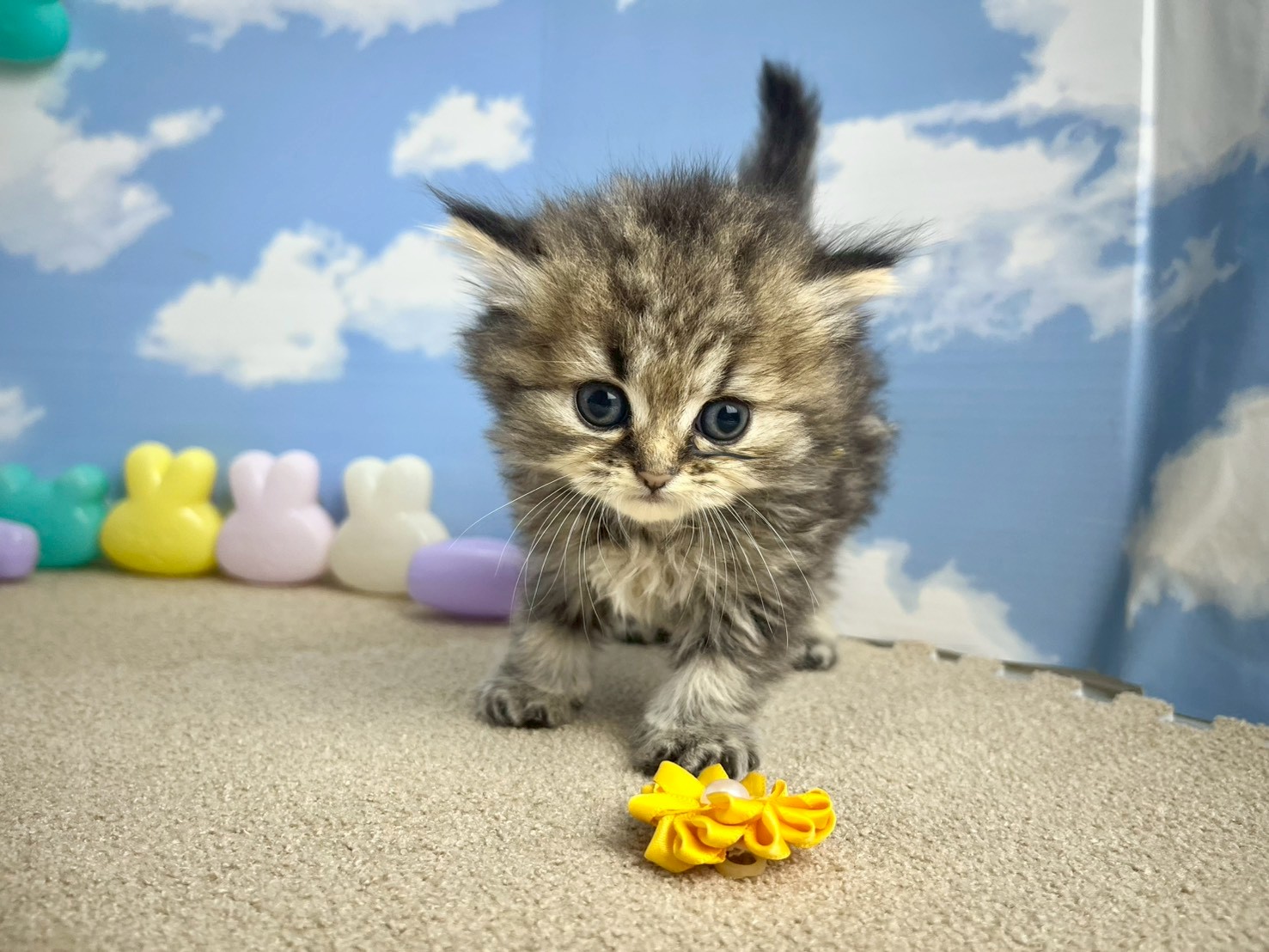 赤ちゃん写真2-1