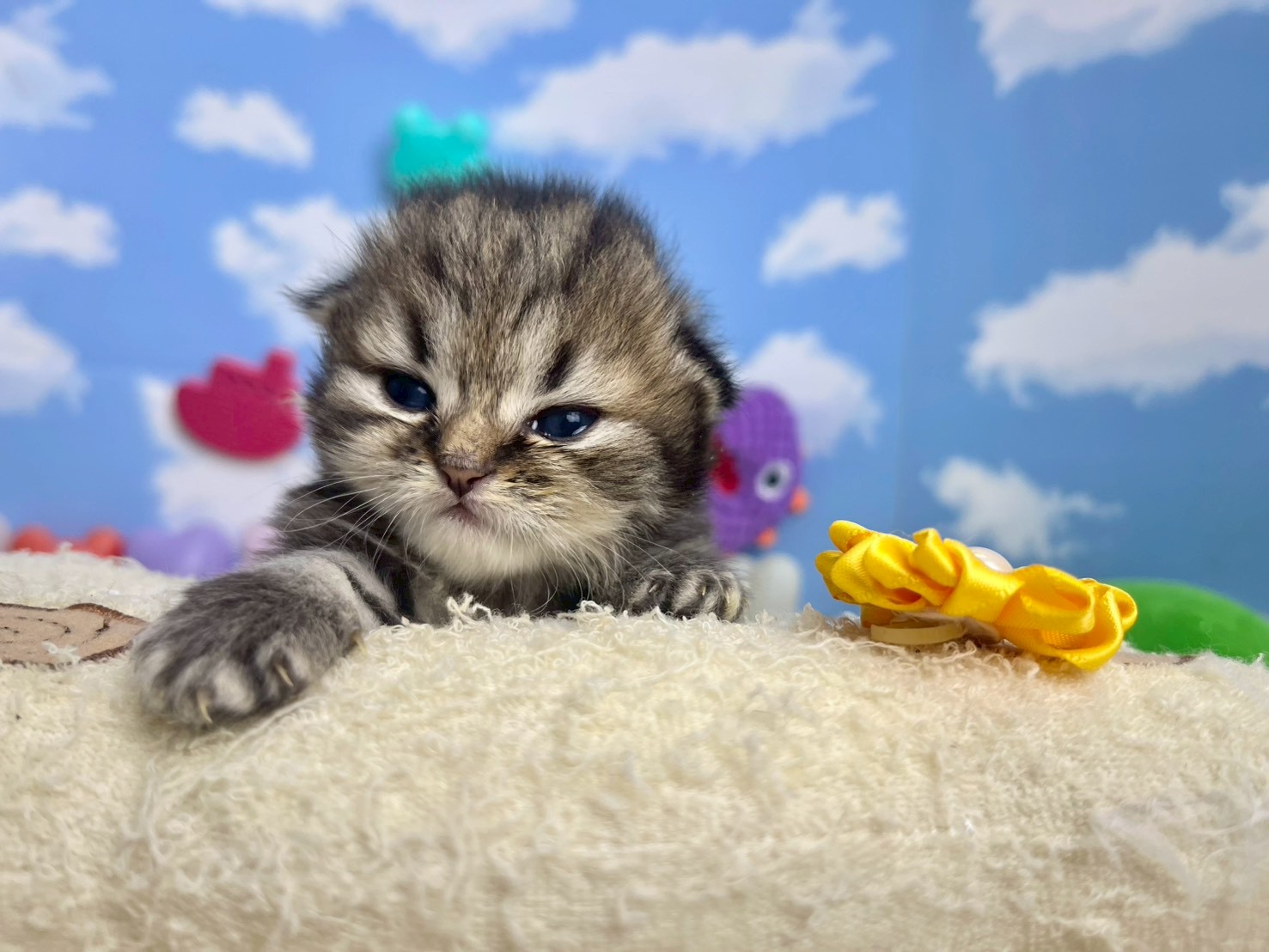 赤ちゃん写真1-1