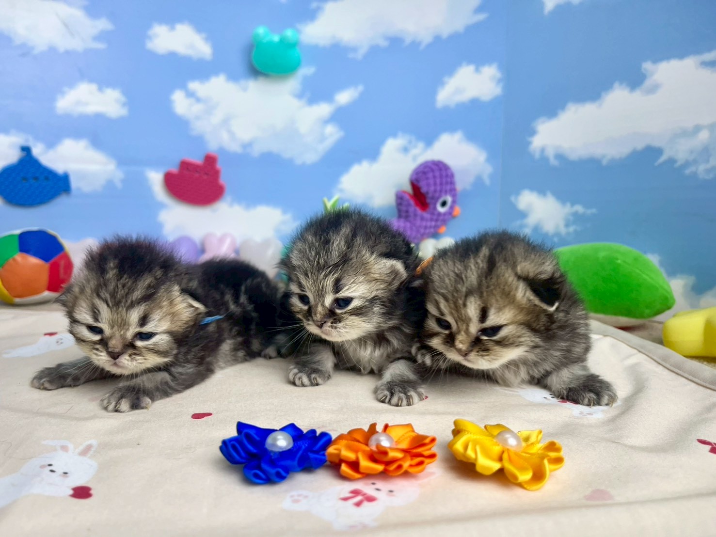 赤ちゃん写真1-3