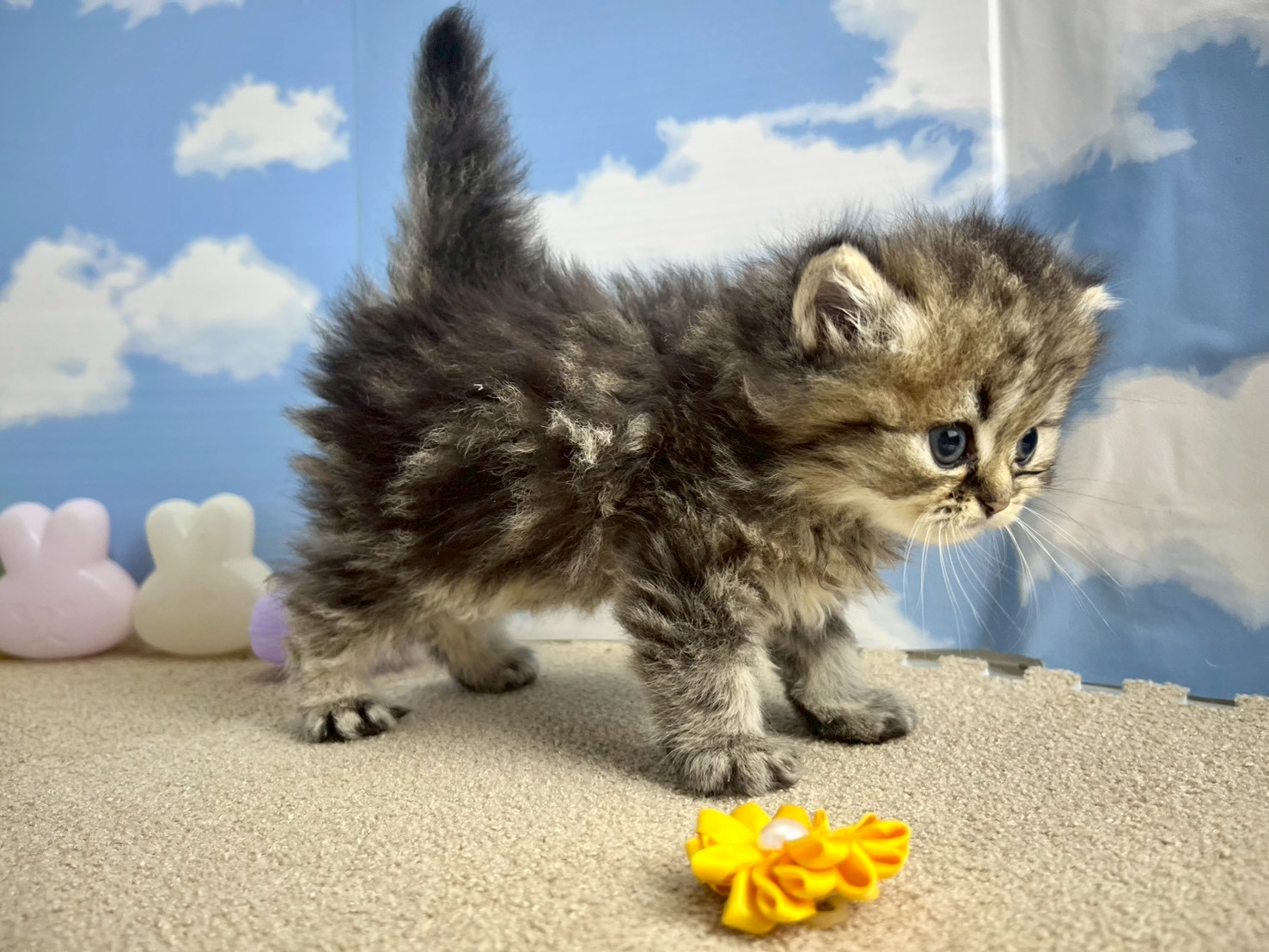 赤ちゃん写真2-2