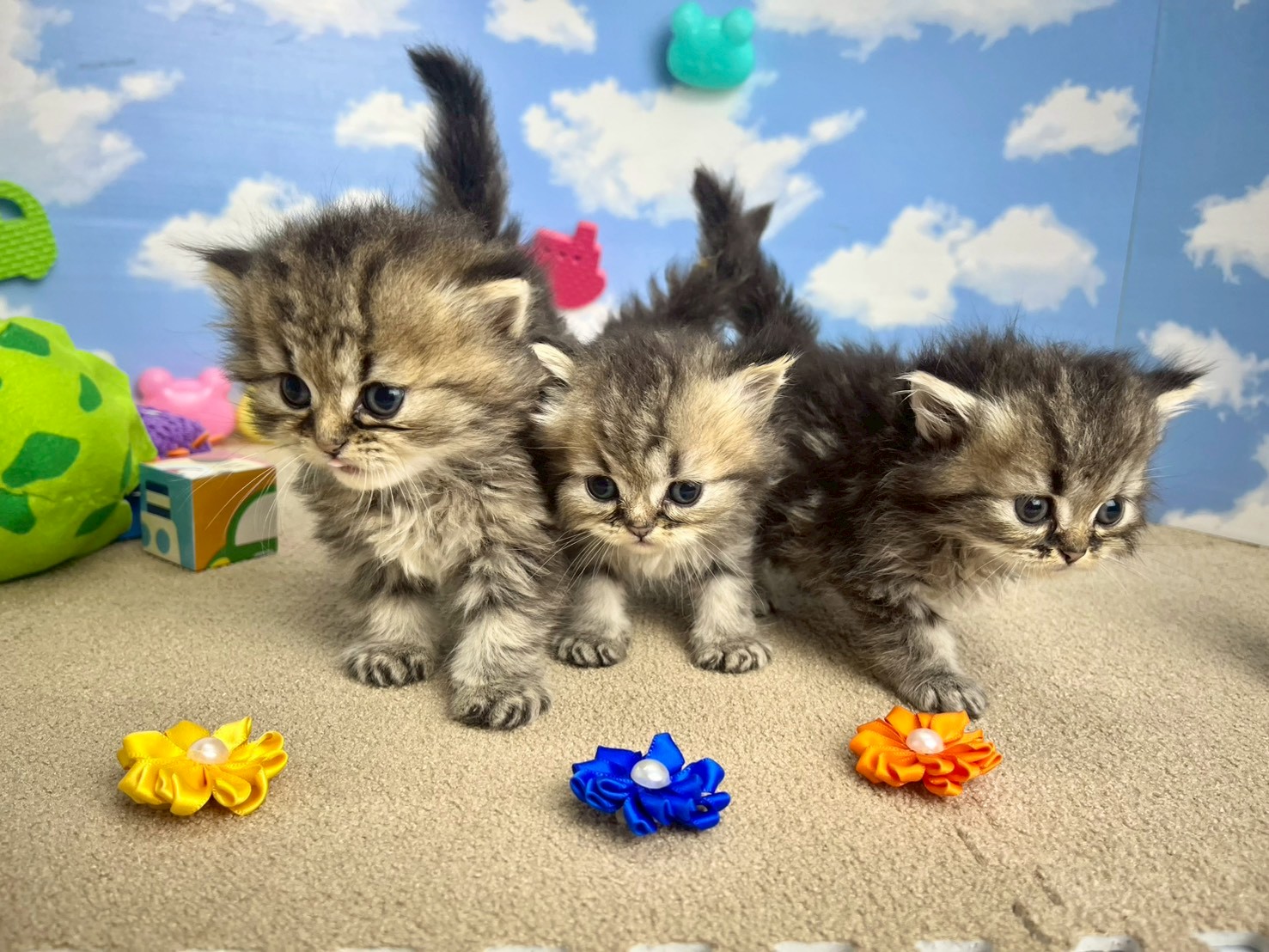 赤ちゃん写真2-3