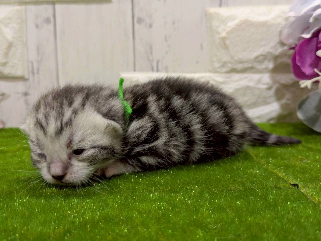 赤ちゃん写真1-2