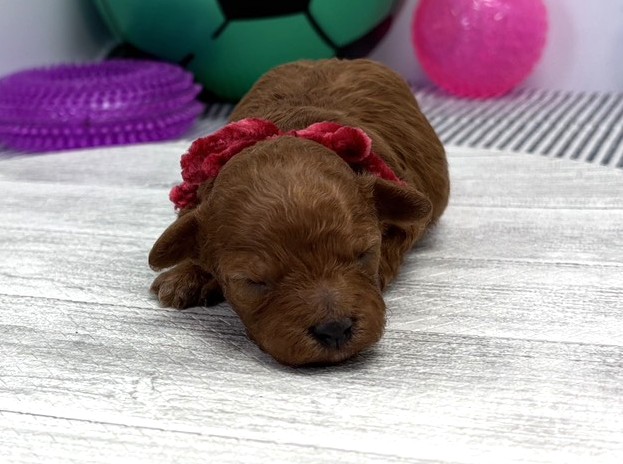 赤ちゃん写真1-1