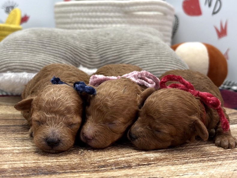 赤ちゃん写真1-3