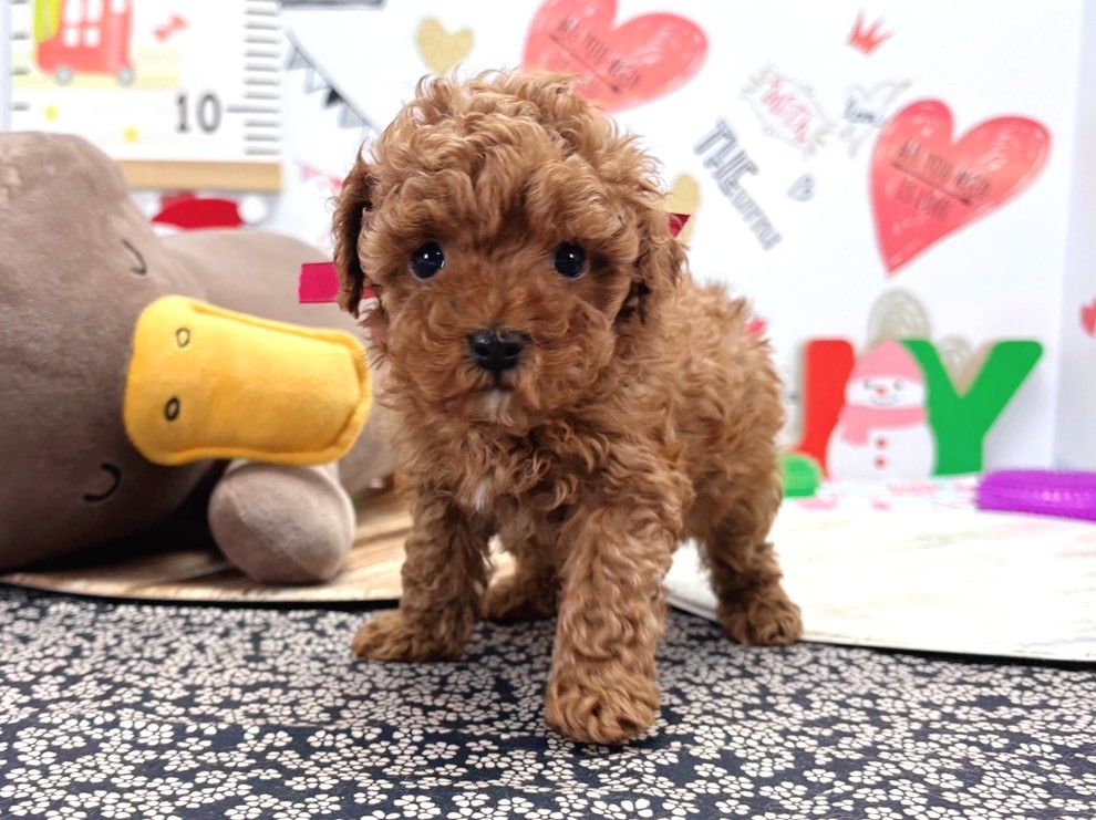 赤ちゃん写真2-1