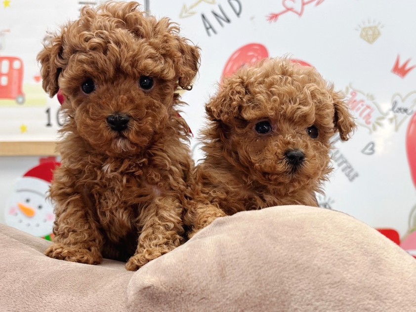 赤ちゃん写真2-3