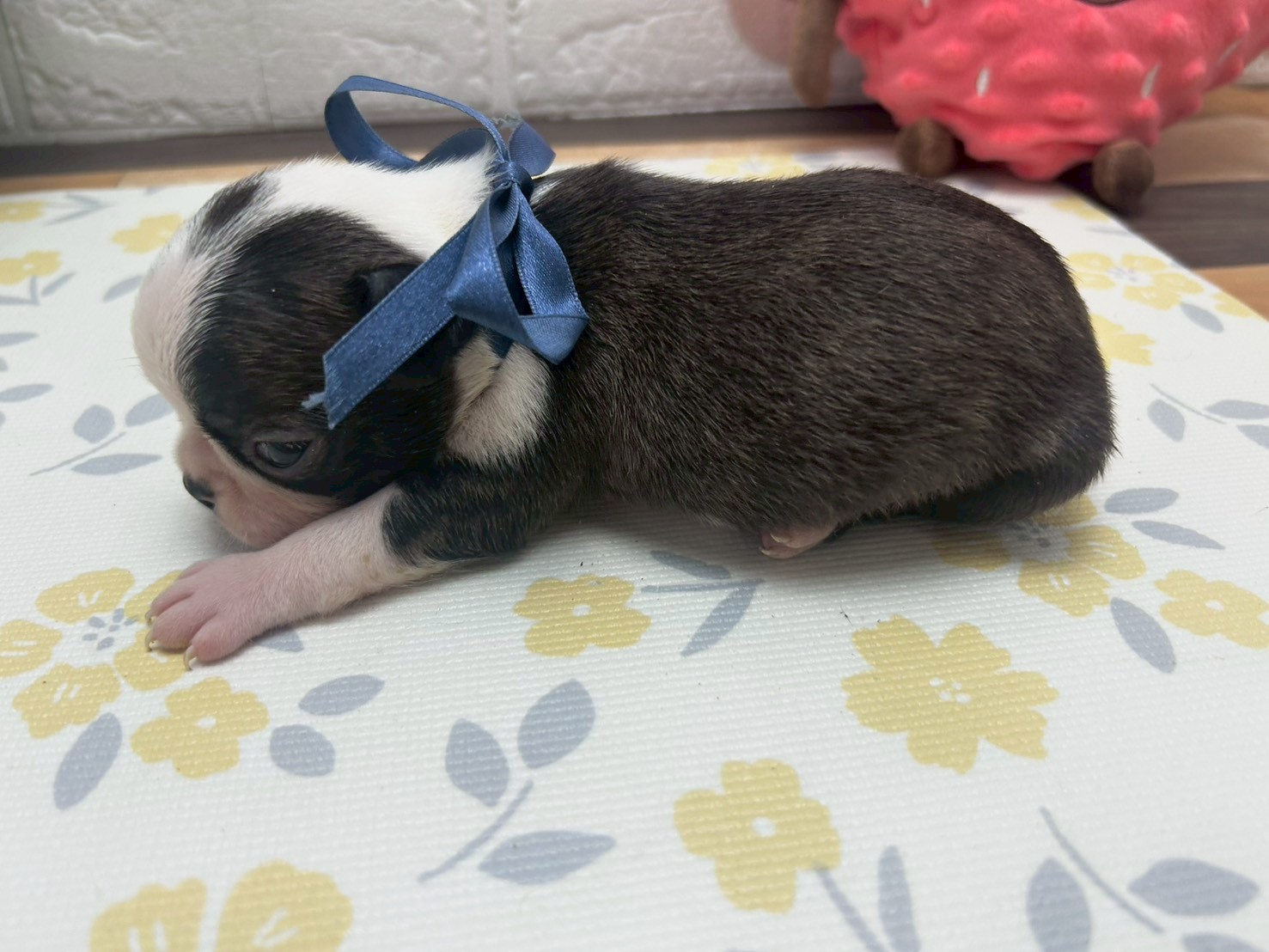 赤ちゃん写真2-2