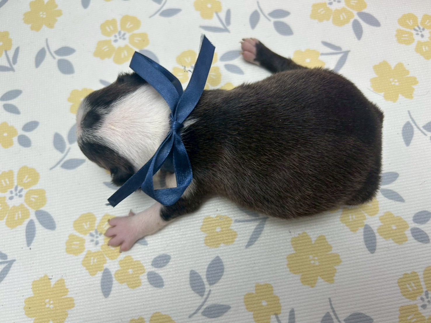 赤ちゃん写真2-3