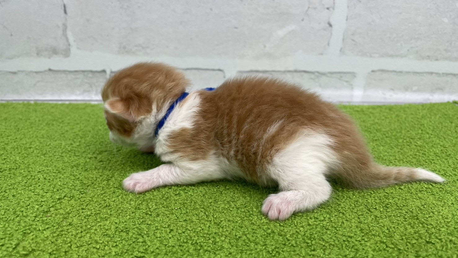 赤ちゃん写真1-2