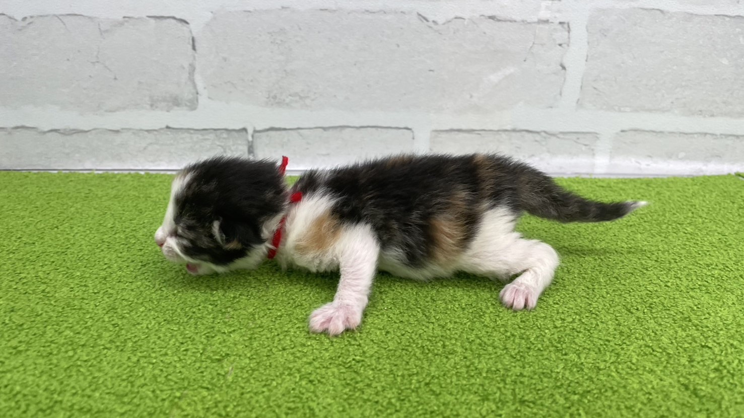 赤ちゃん写真1-2