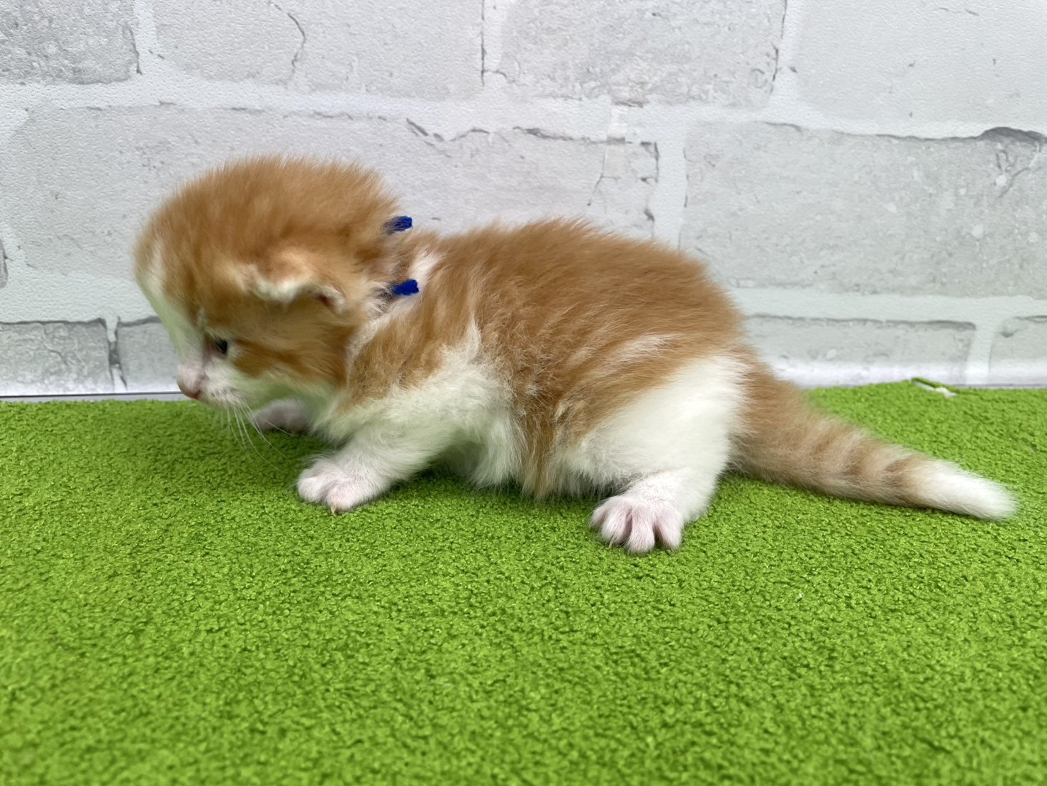 赤ちゃん写真2-2