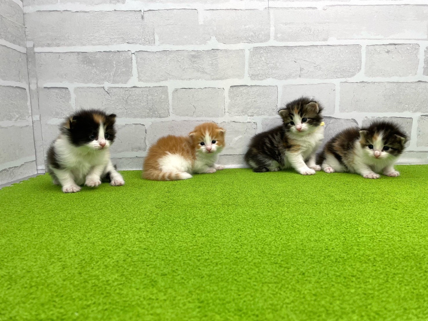 赤ちゃん写真2-3