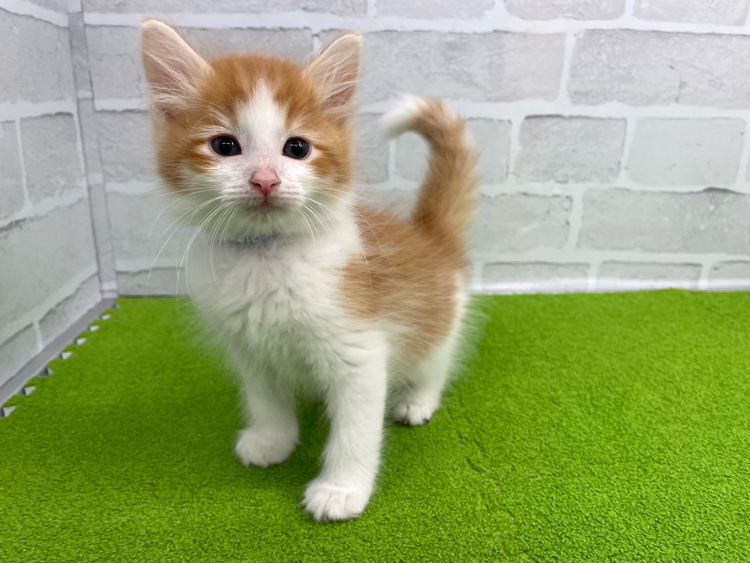 赤ちゃん写真3-1