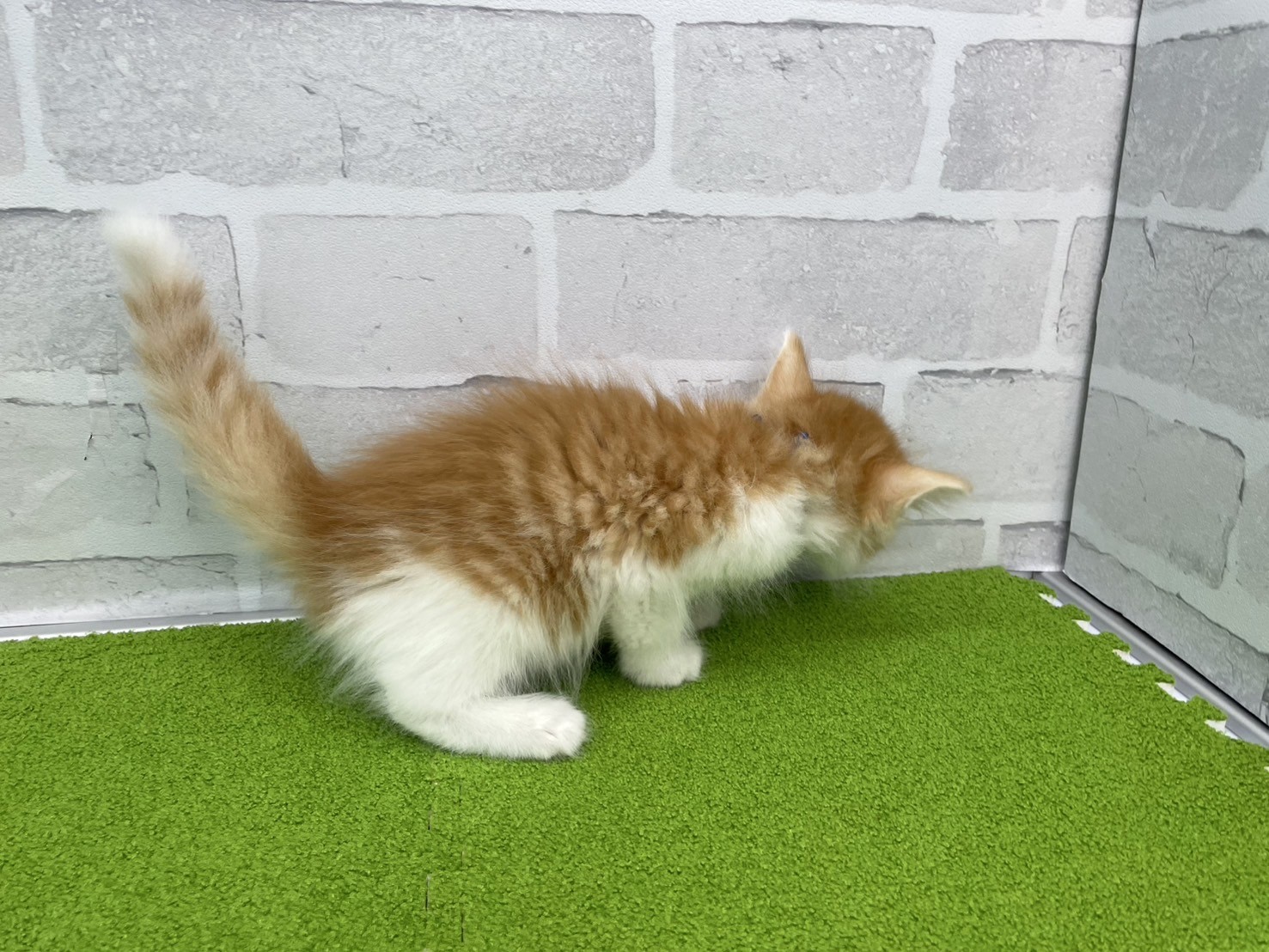 赤ちゃん写真3-2