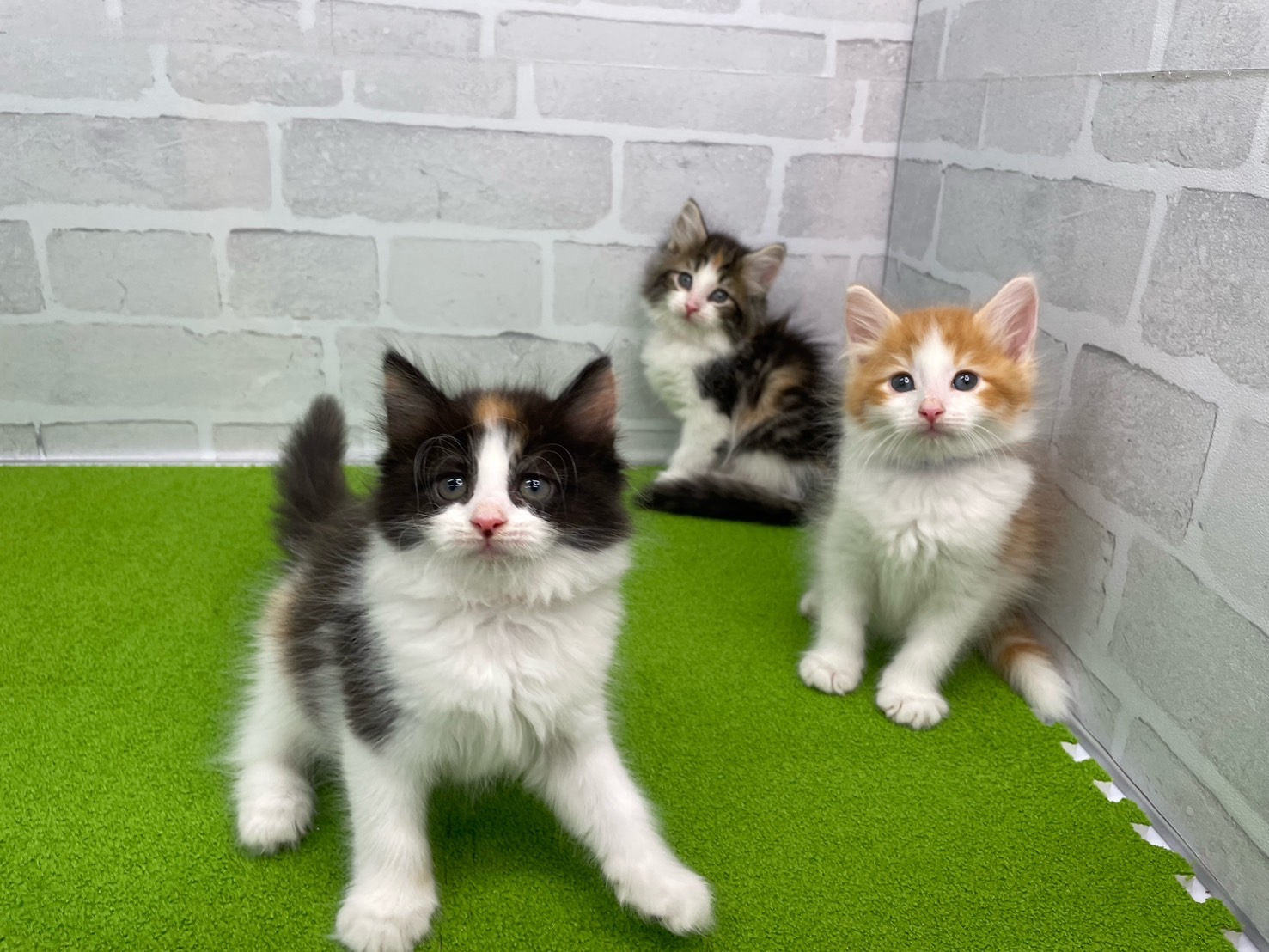 赤ちゃん写真3-3