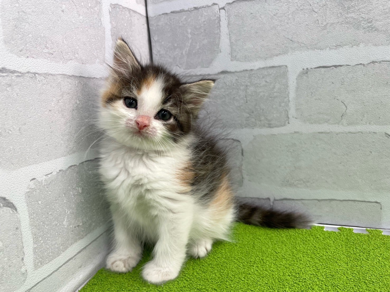 赤ちゃん写真3-1