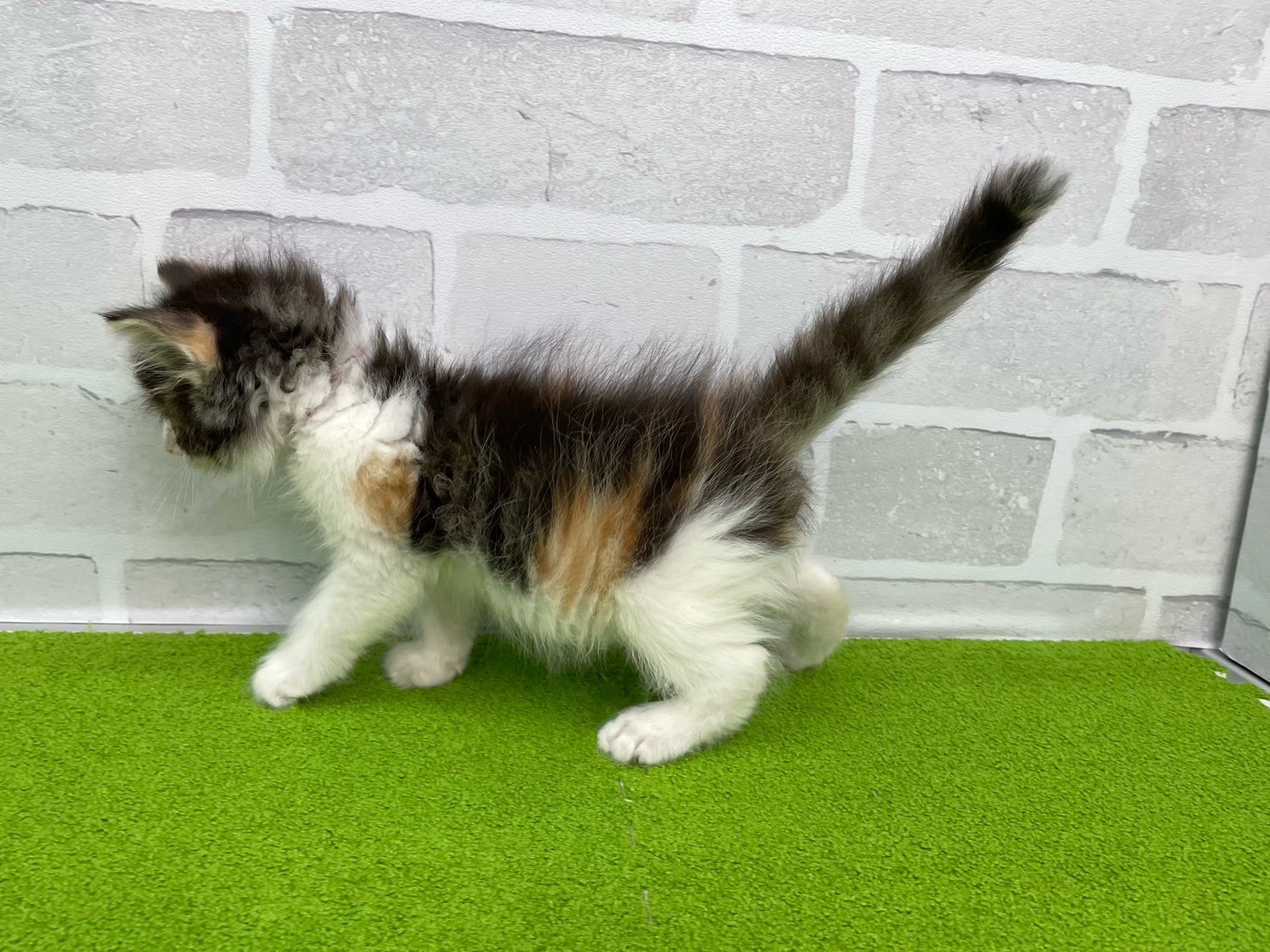 赤ちゃん写真3-2