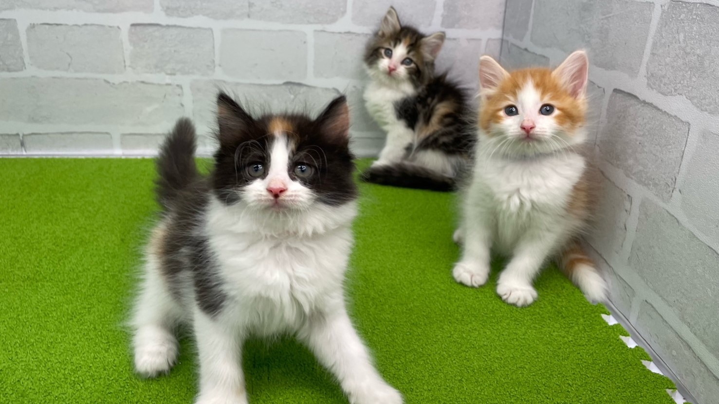 赤ちゃん写真3-3