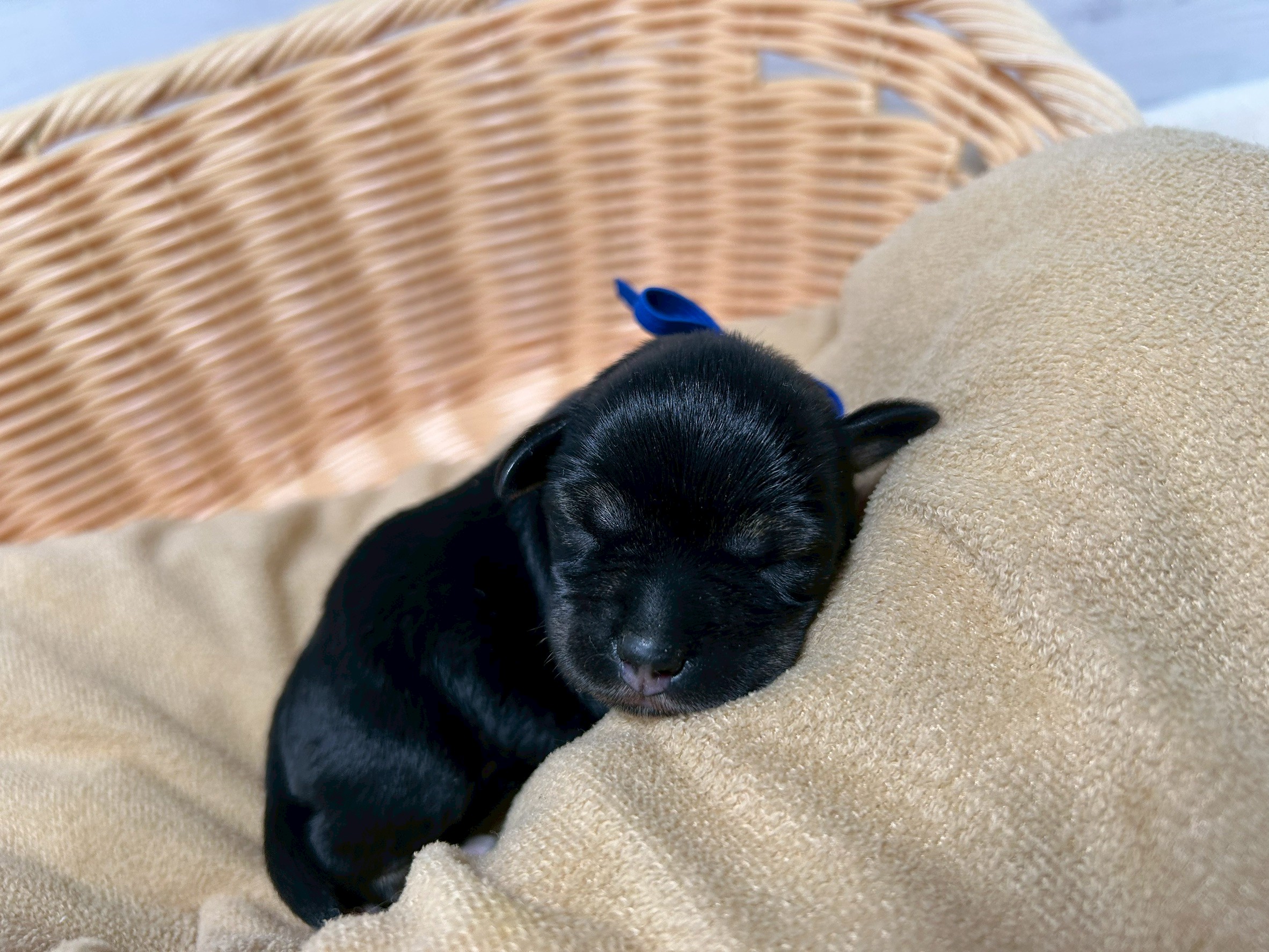 赤ちゃん写真1-1