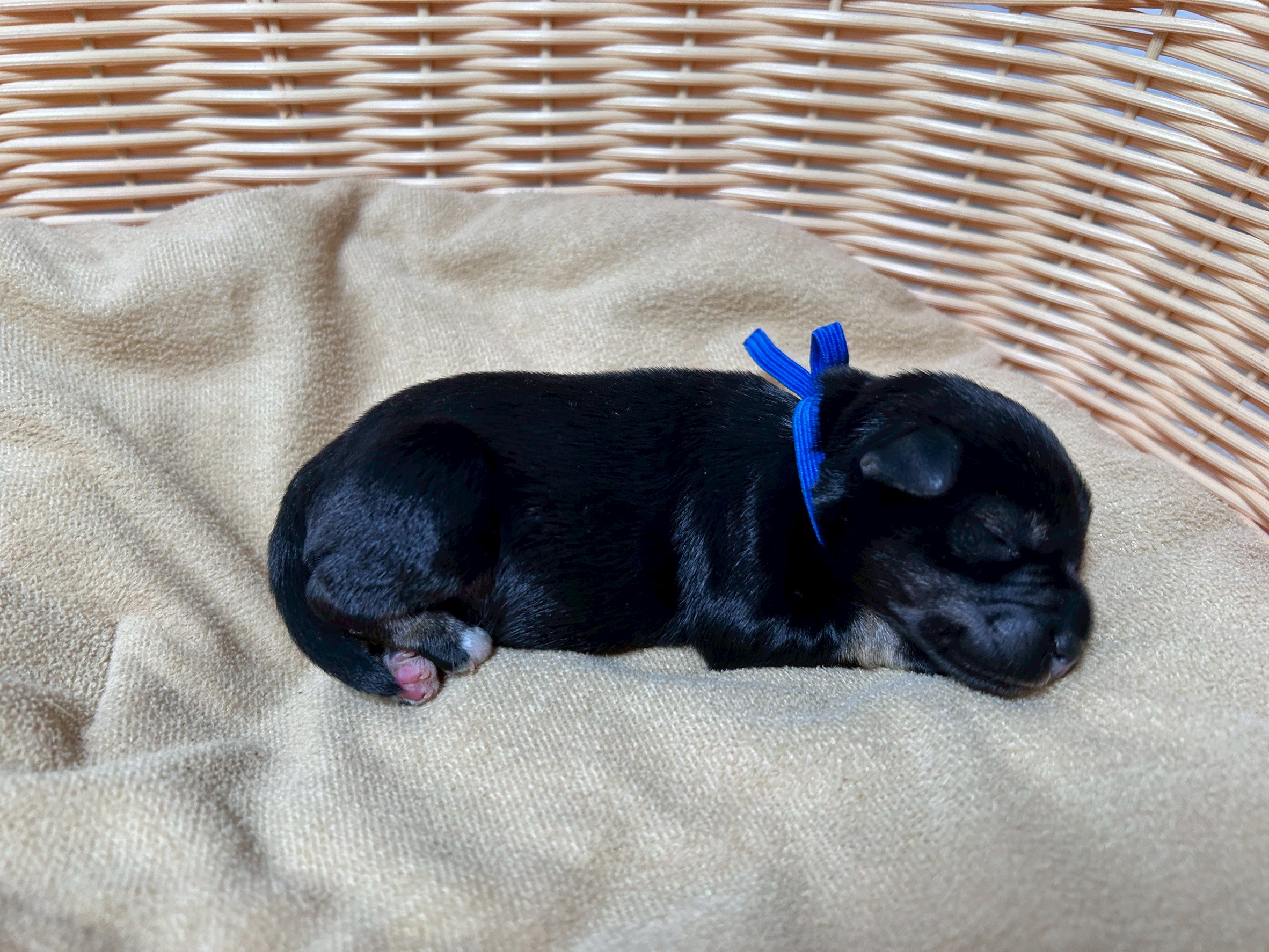 赤ちゃん写真1-2