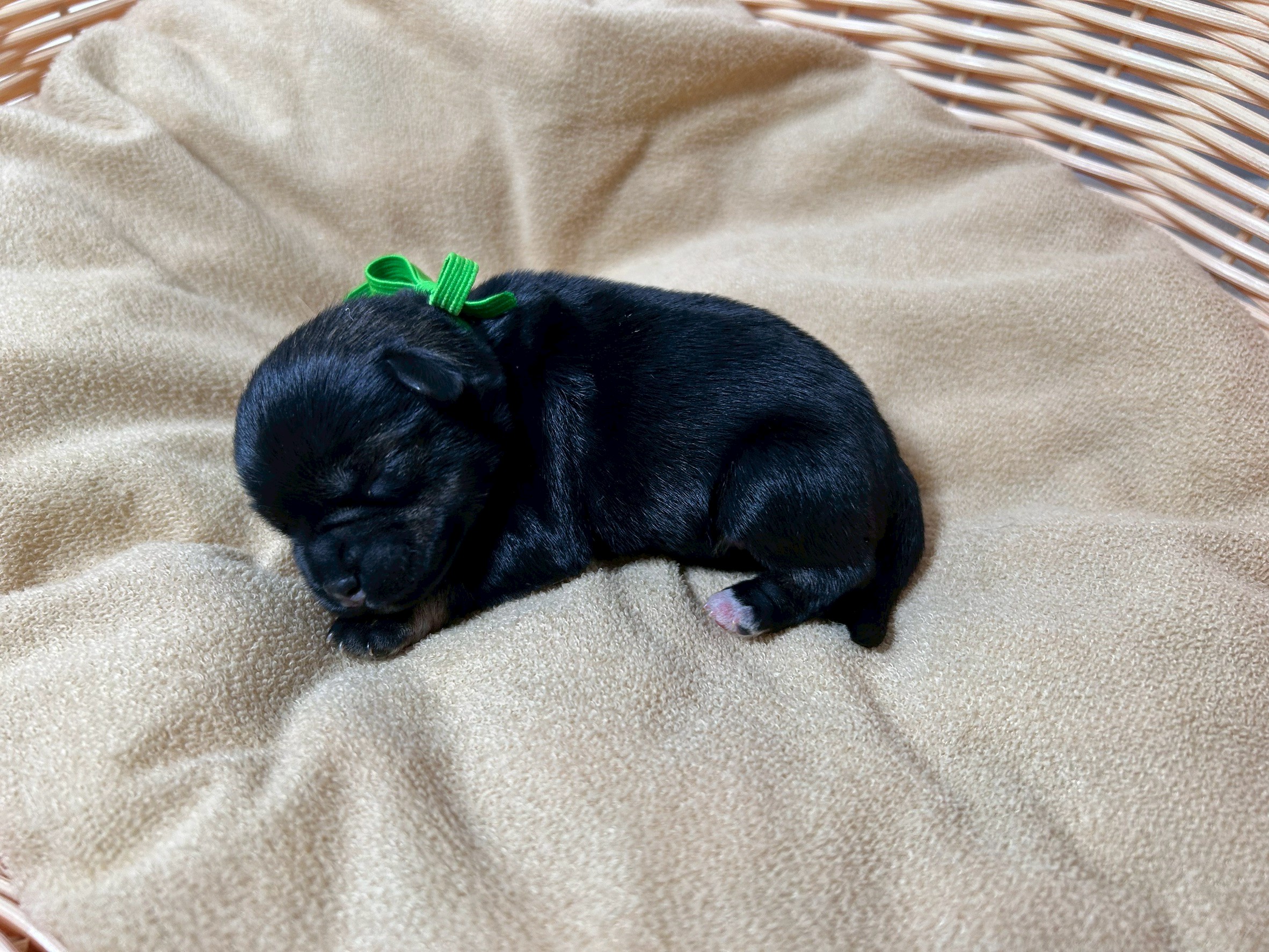 赤ちゃん写真1-2